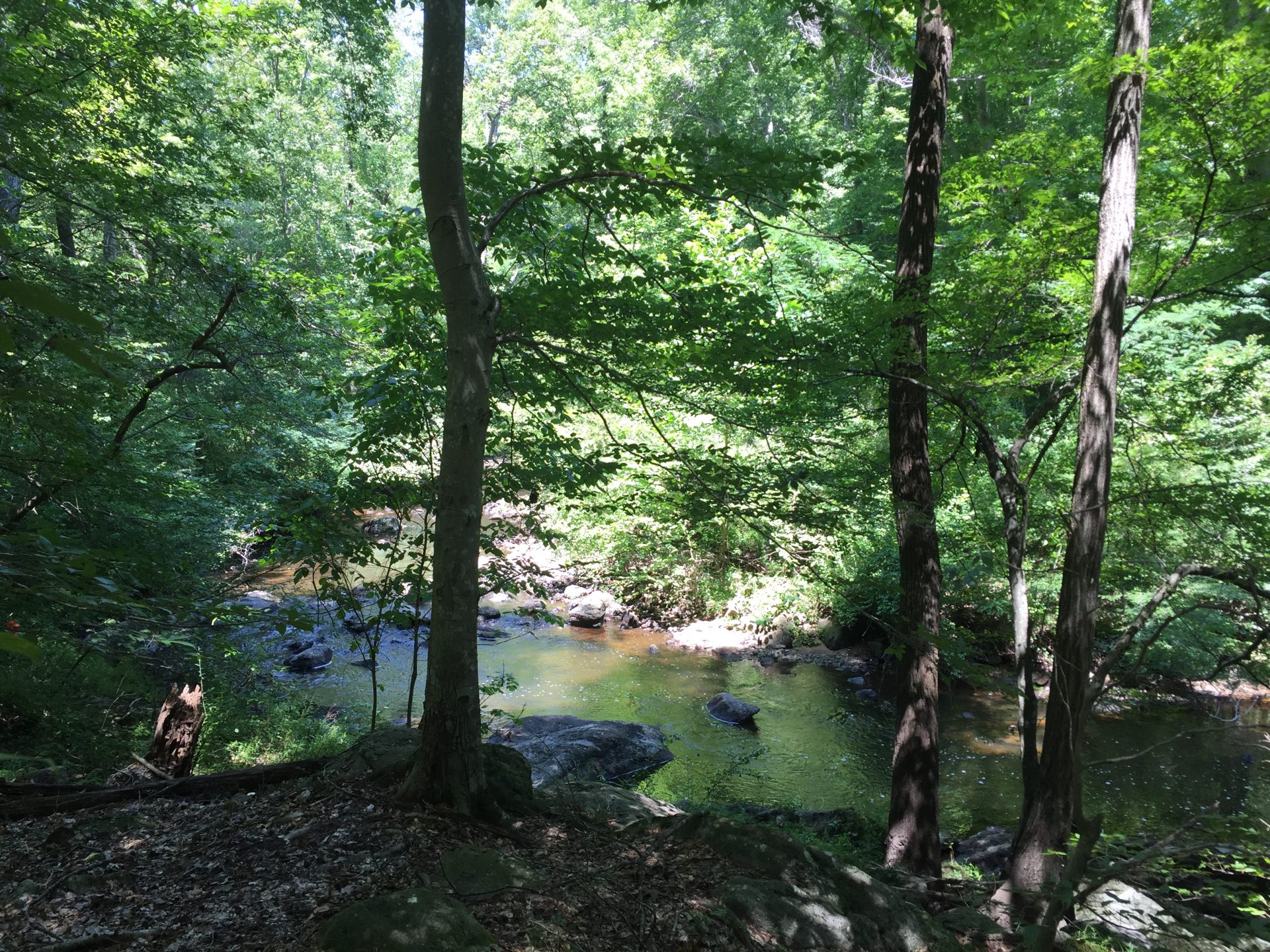 New Homes in Glen Allen, VA River Mill Single Family HHHunt Homes