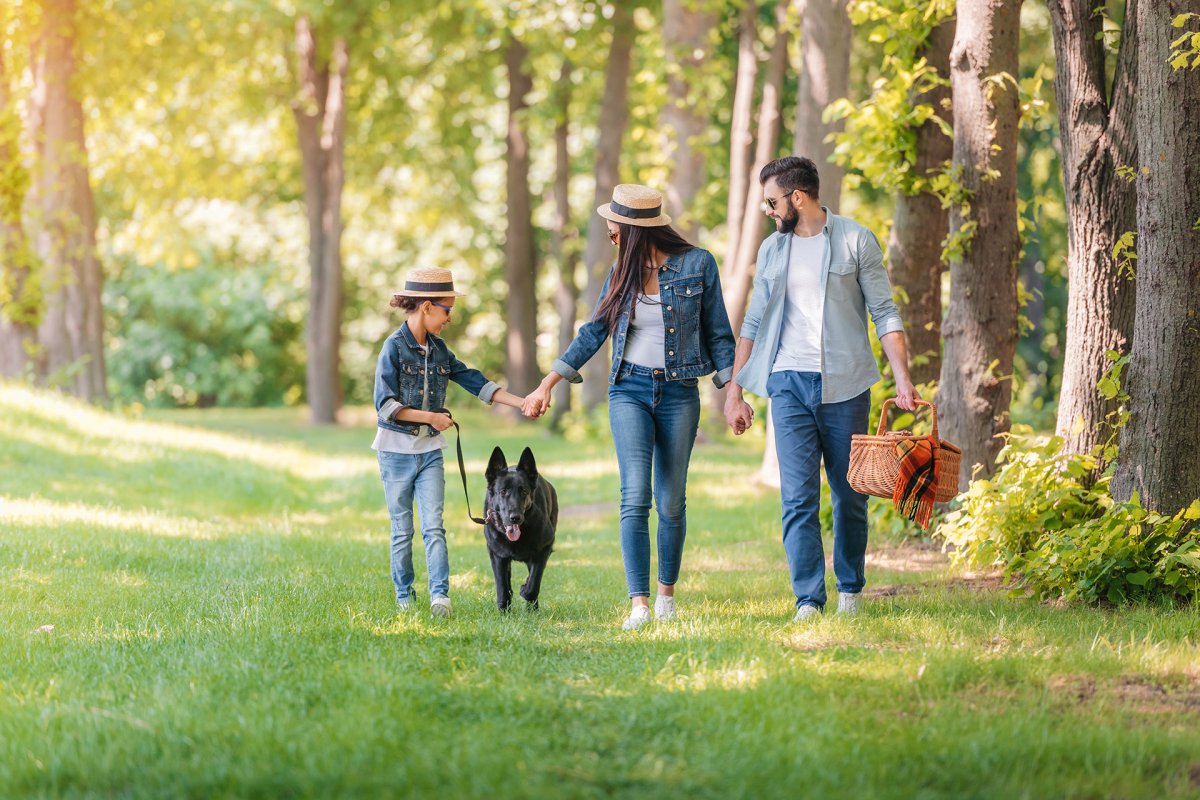 Family walking their dog through a wooded park on a sunny day, carrying a picnic basket