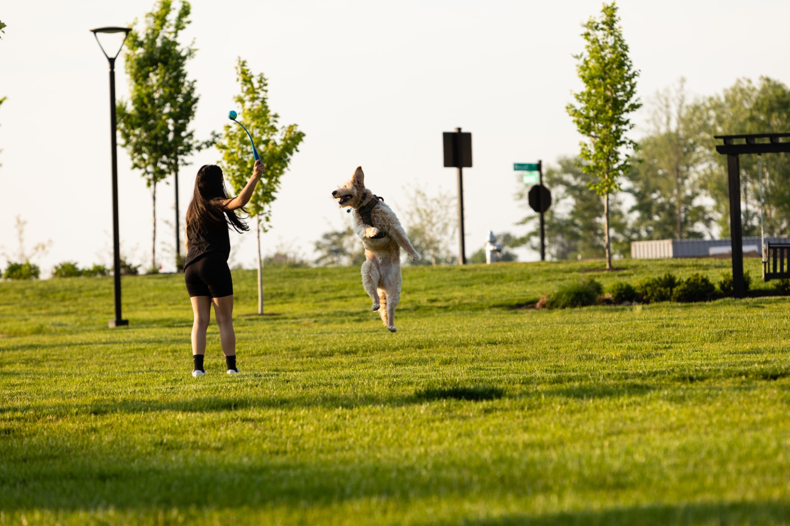 New Homes in Midlothian, VA Wescott Townhomes HHHunt Homes