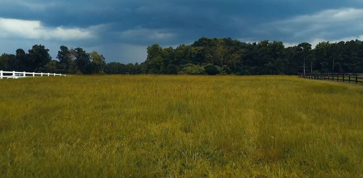A large grass field at Magnolia Acres with beautiful dark green trees in the background.
