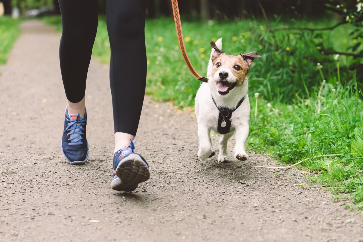 Woman running with her dog on a dirt trail with grass on each side.